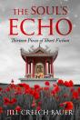 The Soul'S Echo - Preview