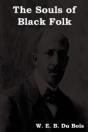 The Souls Of Black Folk - Preview