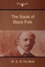 The Souls Of Black Folk - Preview