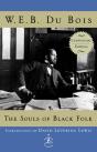 The Souls Of Black Folk - Preview