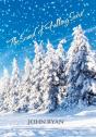 The Sound Of Falling Snow - Preview