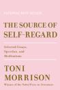 The Source Of Self-Regard - Preview