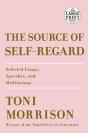 The Source Of Self-Regard - Preview