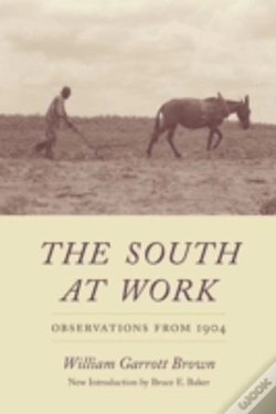Capa do artigo The South At Work