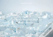 Capa do artigo The Space Between Memory And Expectation