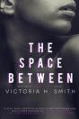 The Space Between - Preview