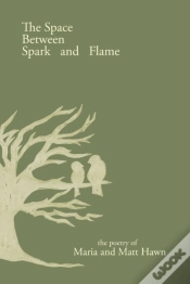 Capa do artigo The Space Between Spark And Flame