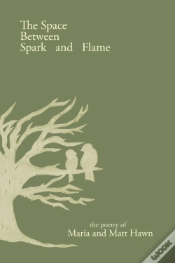 Capa do artigo The Space Between Spark And Flame