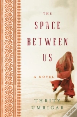 Capa do artigo The Space Between Us