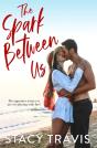 The Spark Between Us - Preview