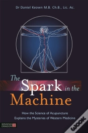 Capa do artigo The Spark In The Machine