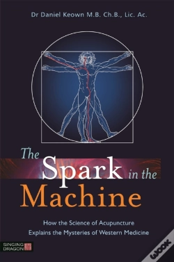 Capa do artigo The Spark In The Machine