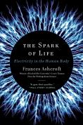 The Spark Of Life