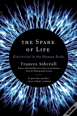 Capa do artigo The Spark Of Life