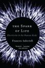 The Spark Of Life - Preview