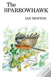 Capa do artigo The Sparrowhawk