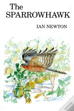 Capa do artigo The Sparrowhawk