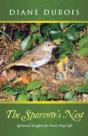 The Sparrow'S Nest - Preview