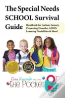 The Special Needs School Survival Guide