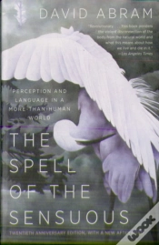 Capa do artigo The Spell Of The Sensuous