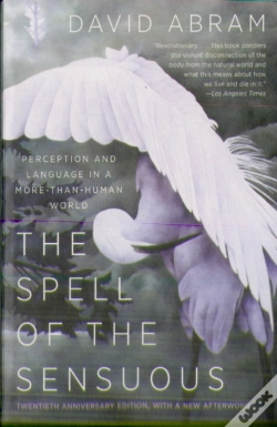 Capa do artigo The Spell Of The Sensuous