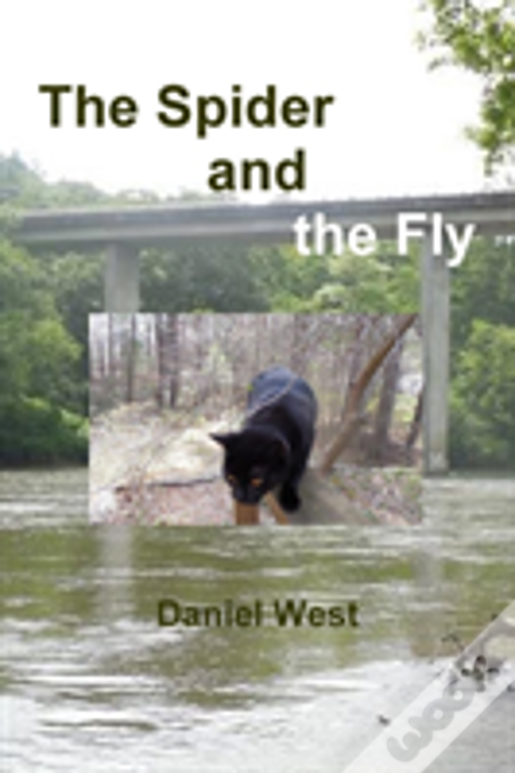 The Spider And The Fly