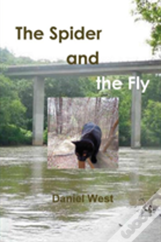 The Spider And The Fly