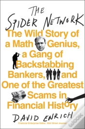 Capa do artigo The Spider Network
