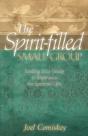 The Spirit-Filled Small Group - Preview