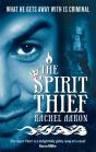 The Spirit Thief - Preview