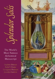 Capa do artigo The Splendor Solis