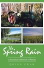 The Spring Rain - Preview