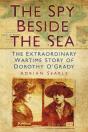 The Spy Beside The Sea - Preview