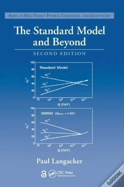 Capa do artigo The Standard Model And Beyond