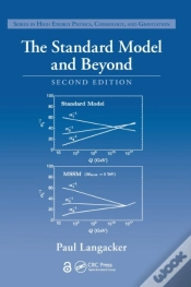 Capa do artigo The Standard Model And Beyond