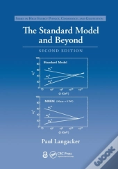 The Standard Model And Beyond