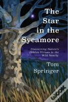 The Star In The Sycamore