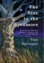 The Star In The Sycamore - Preview