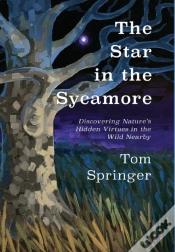 Capa do artigo The Star In The Sycamore