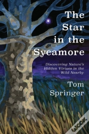 Capa do artigo The Star In The Sycamore