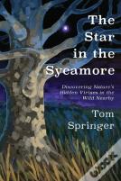 The Star In The Sycamore