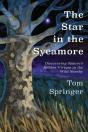 The Star In The Sycamore - Preview