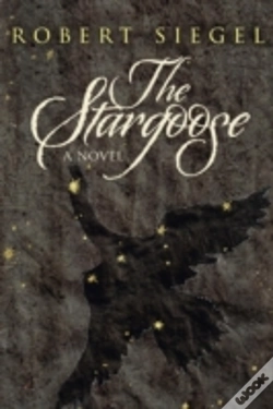 Capa do artigo The Stargoose