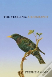 Capa do artigo The Starling