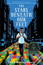 Capa do artigo The Stars Beneath Our Feet