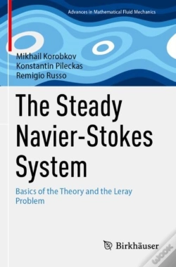 Capa do artigo The Steady Navier-Stokes System