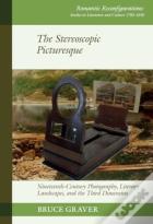 The Stereoscopic Picturesque