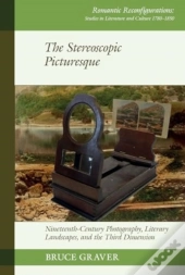 The Stereoscopic Picturesque