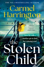 Capa do artigo The Stolen Child