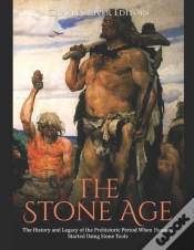 Capa do artigo The Stone Age